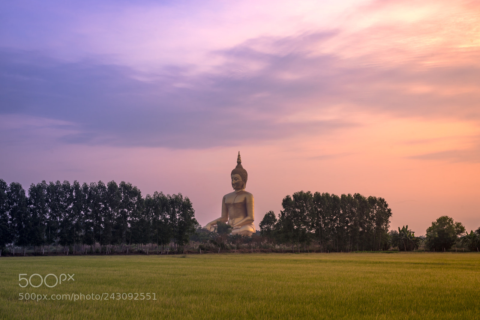 Sony a7 II sample photo. Big golden buddha statue photography