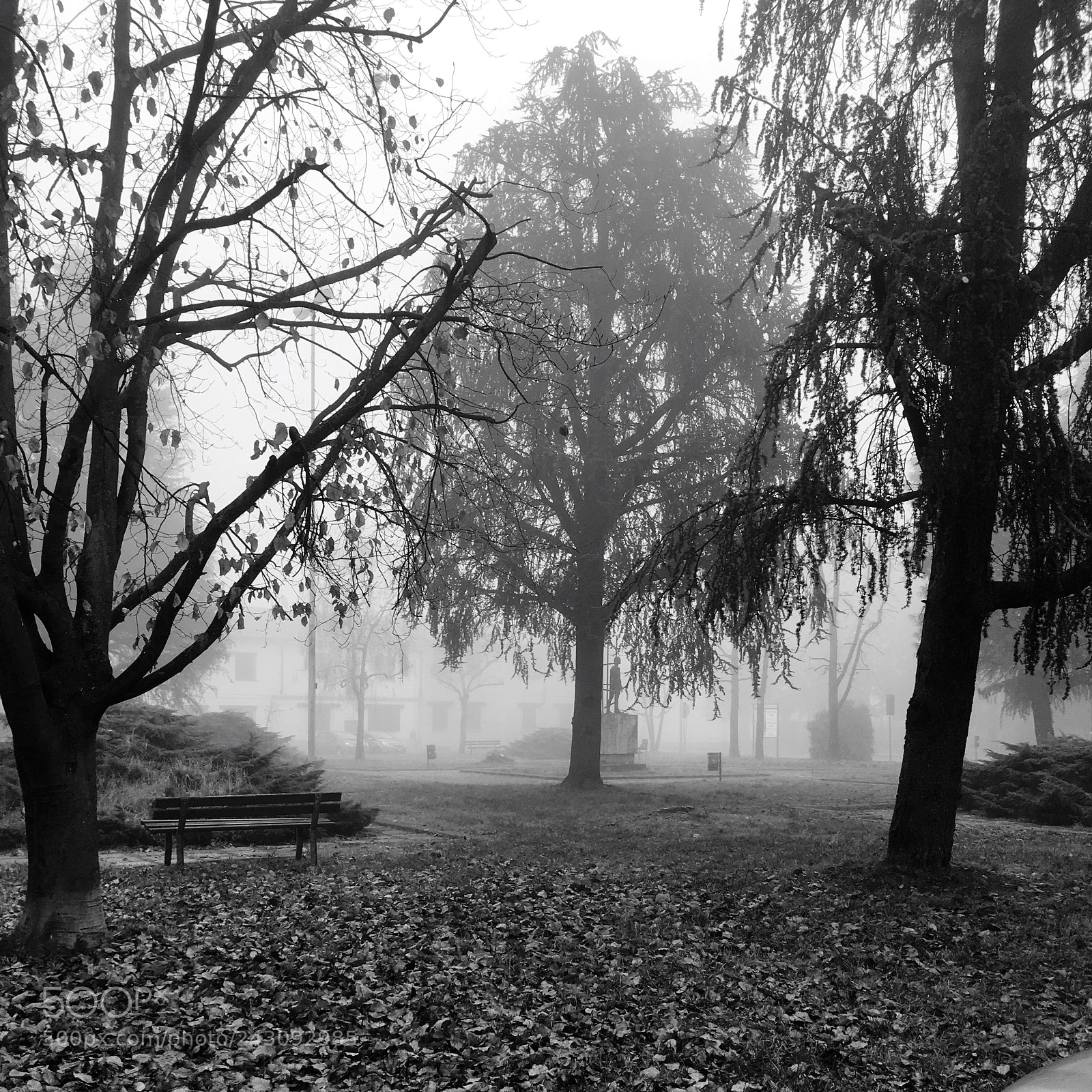Apple iPhone 6s sample photo. Foggy photography
