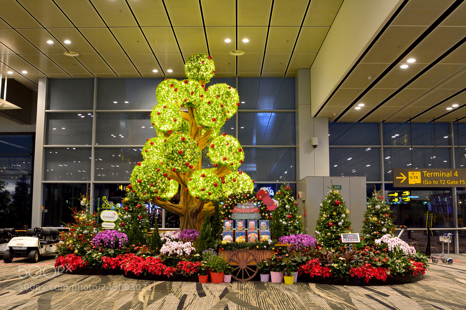 Nikon D7100 sample photo. Interior view of changi photography