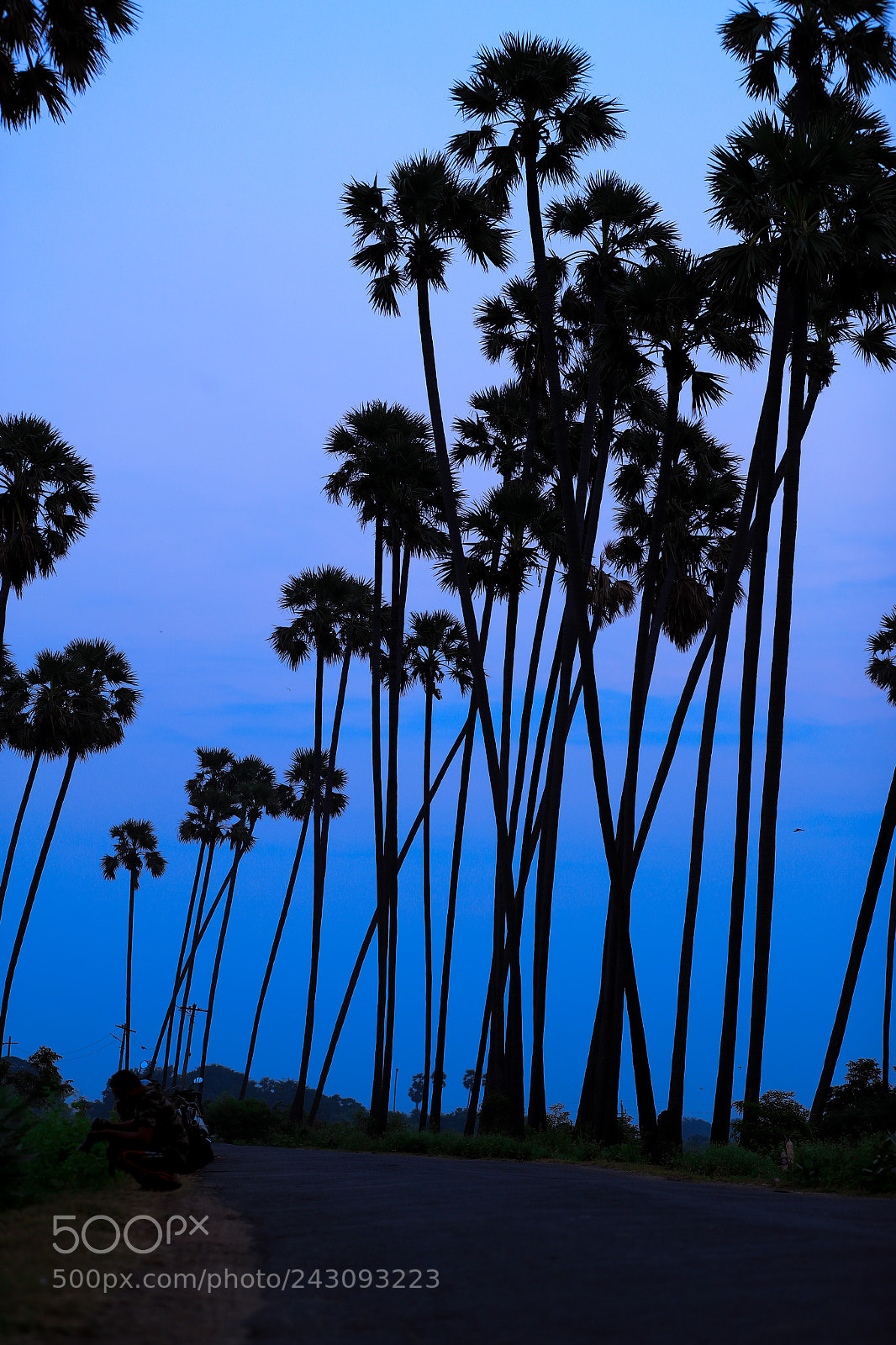 Canon EOS-1D X Mark II sample photo. Untitled photography