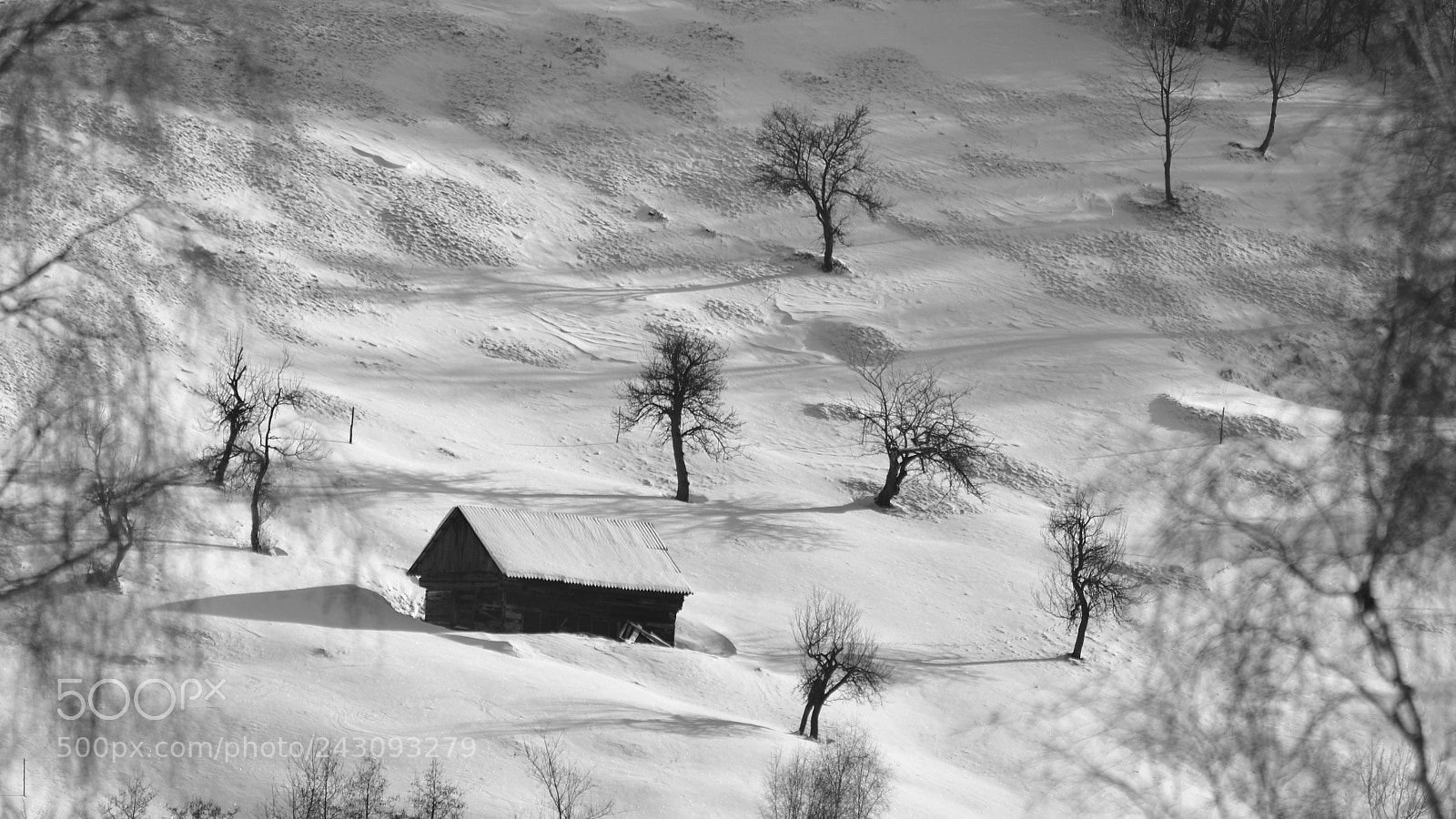 Nikon D7200 sample photo. Winter in bran photography