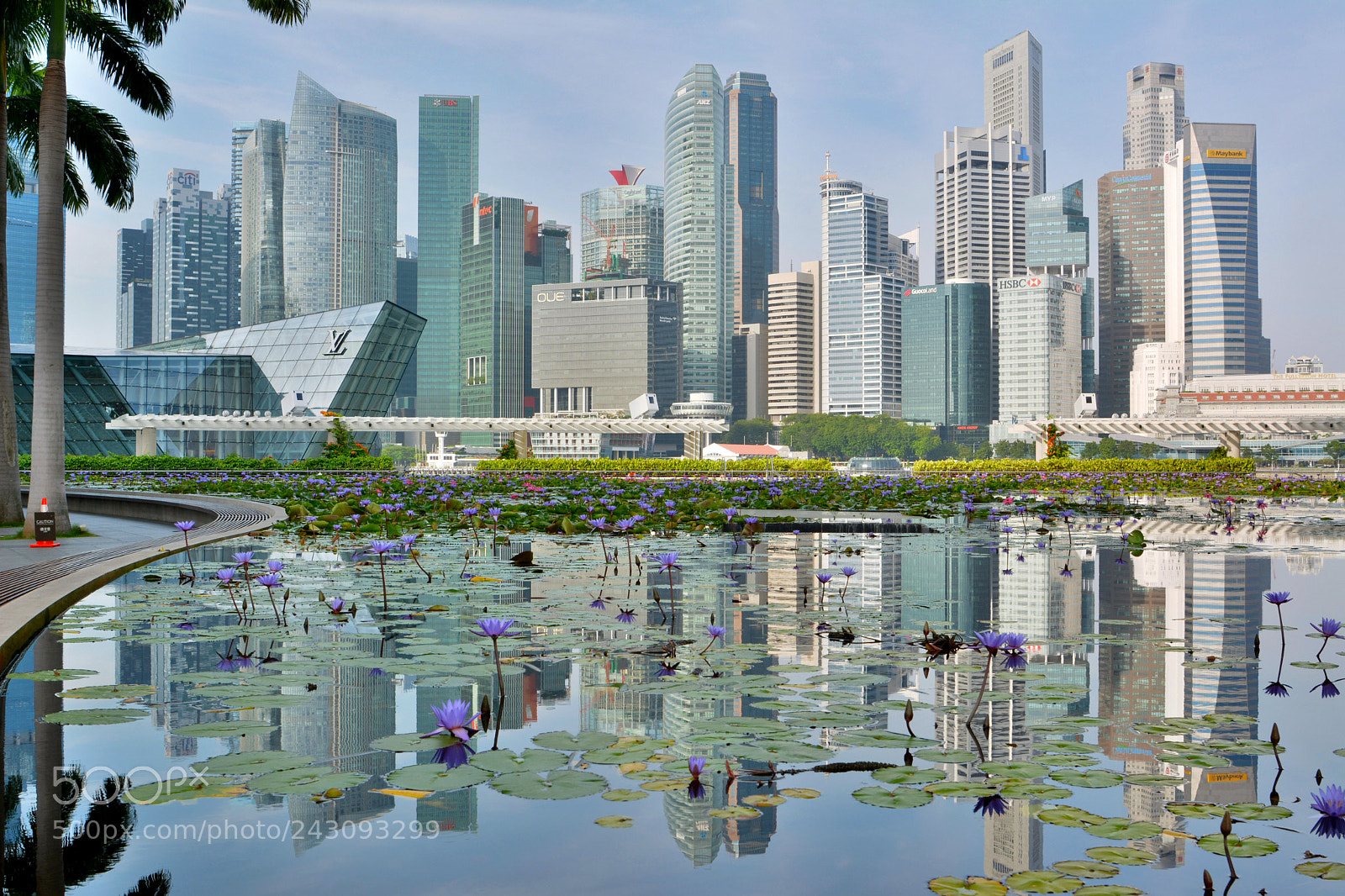 Nikon D7100 sample photo. Skyline in singapore with photography