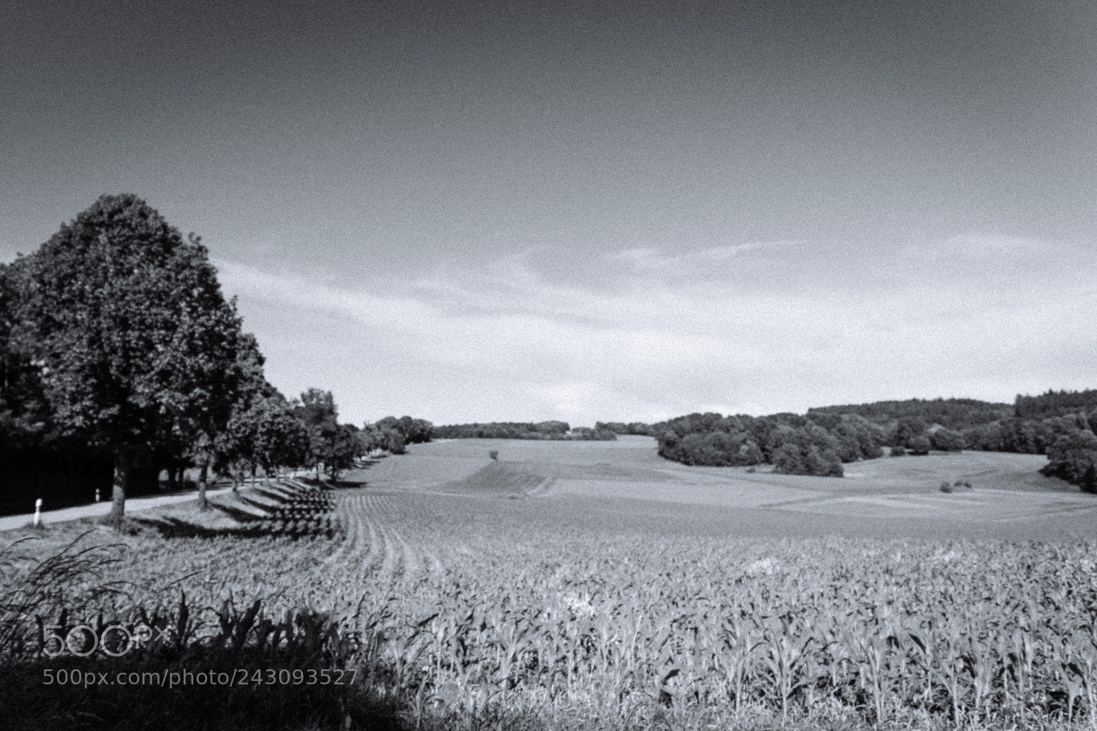 Sony SLT-A68 sample photo. Random bavarian landscapes photography