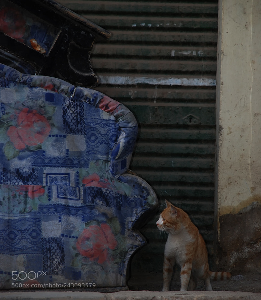 Nikon D80 sample photo. Three removals are as photography