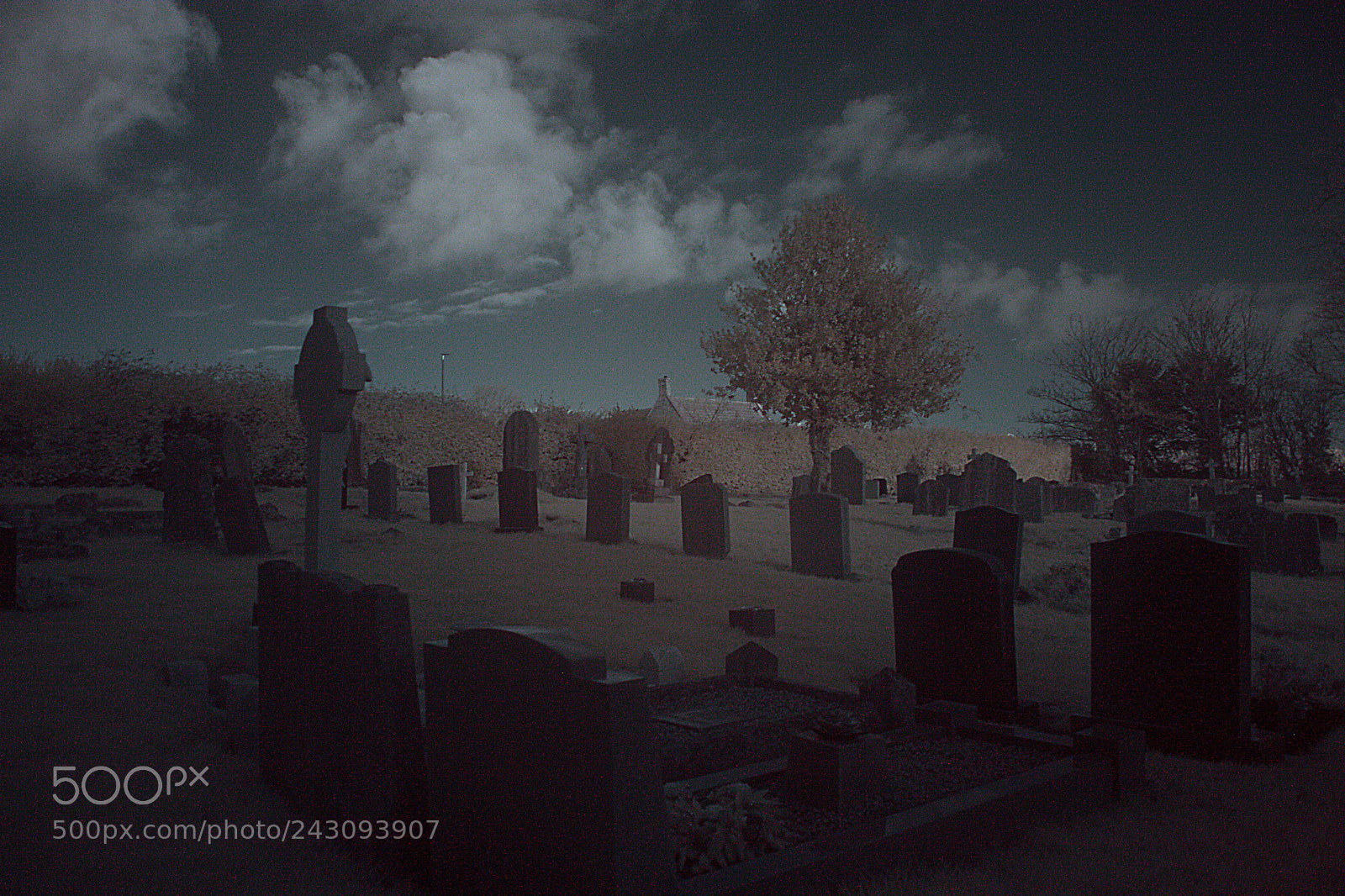 Canon EOS 1000D (EOS Digital Rebel XS / EOS Kiss F) sample photo. Churchyard: experiments in infrared photography