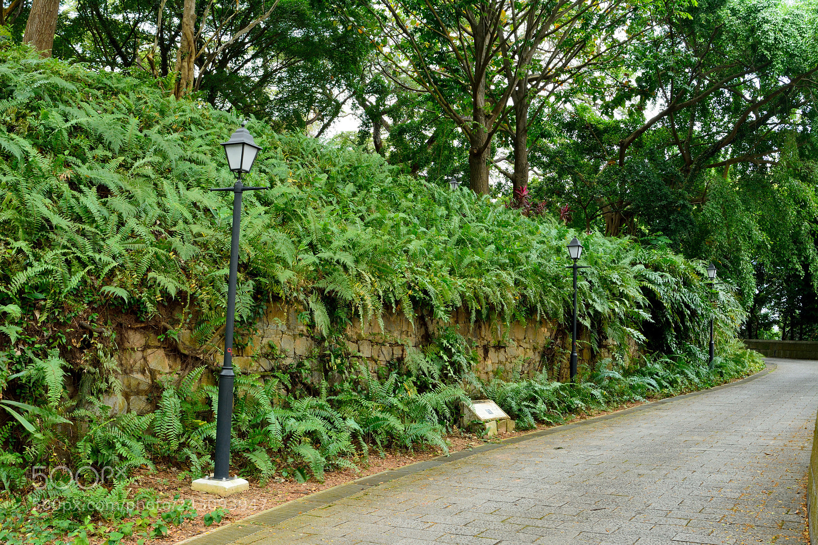 Nikon D7100 sample photo. Walls of fort canning photography