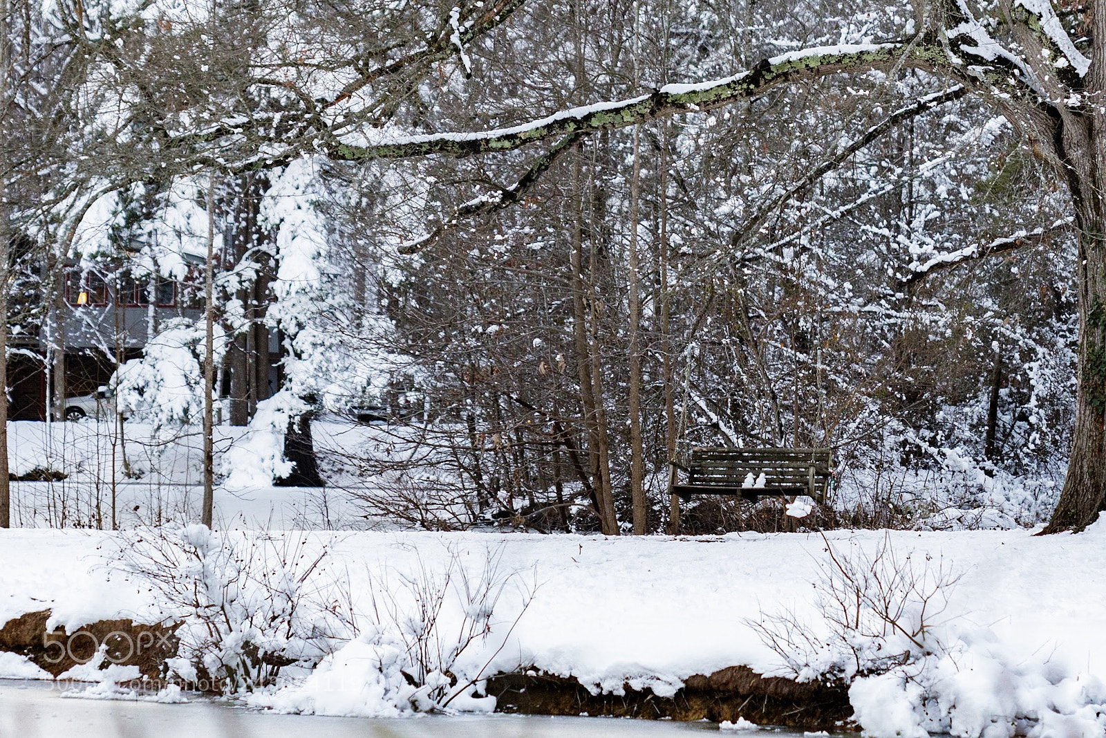 Canon EOS 7D Mark II sample photo. Bench in the woods photography