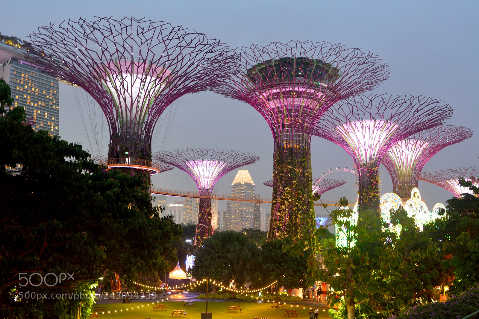 Nikon D7100 sample photo. Lluminated futuristic supertrees at photography