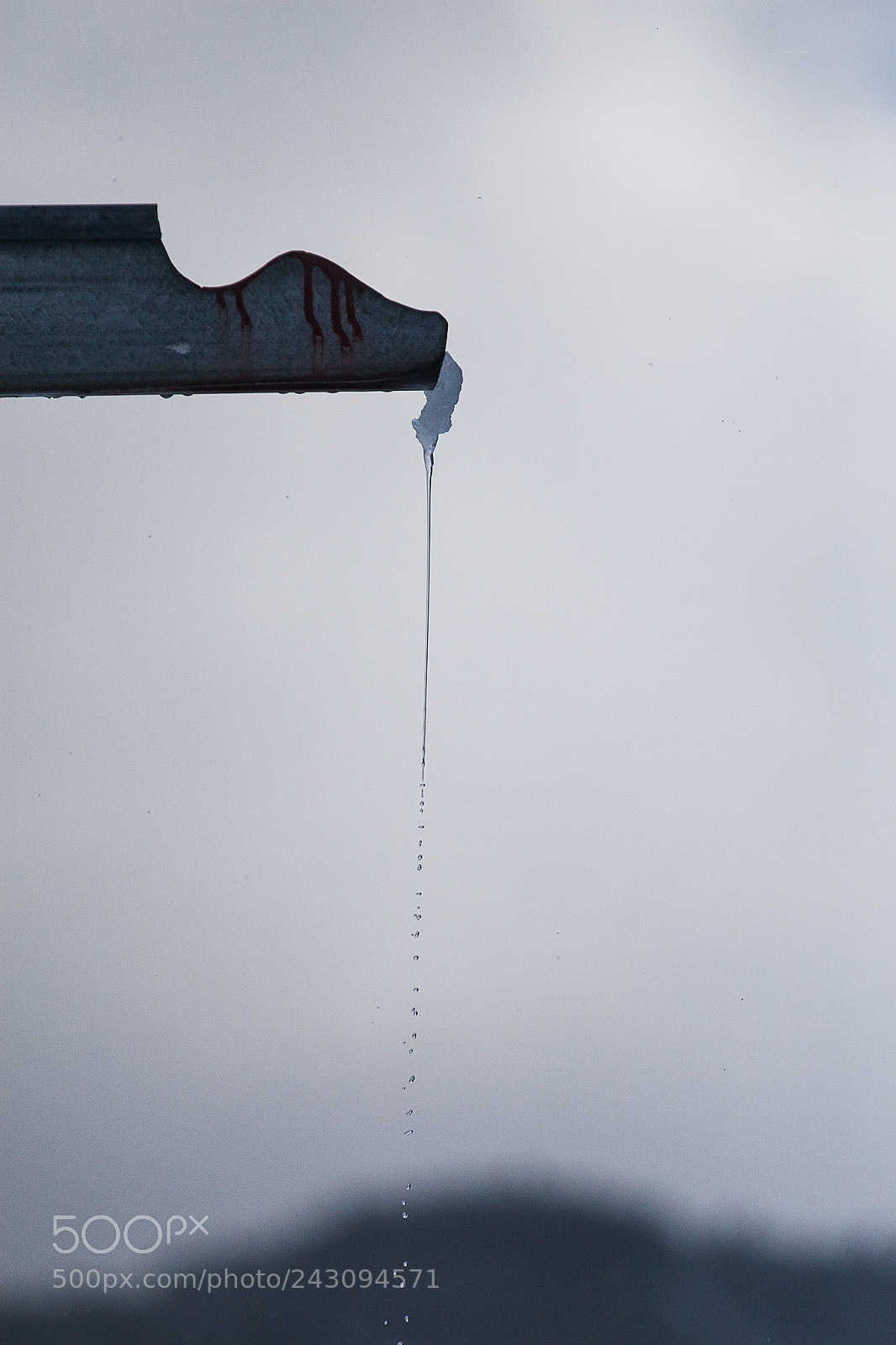 Canon EOS 30D sample photo. Drops photography