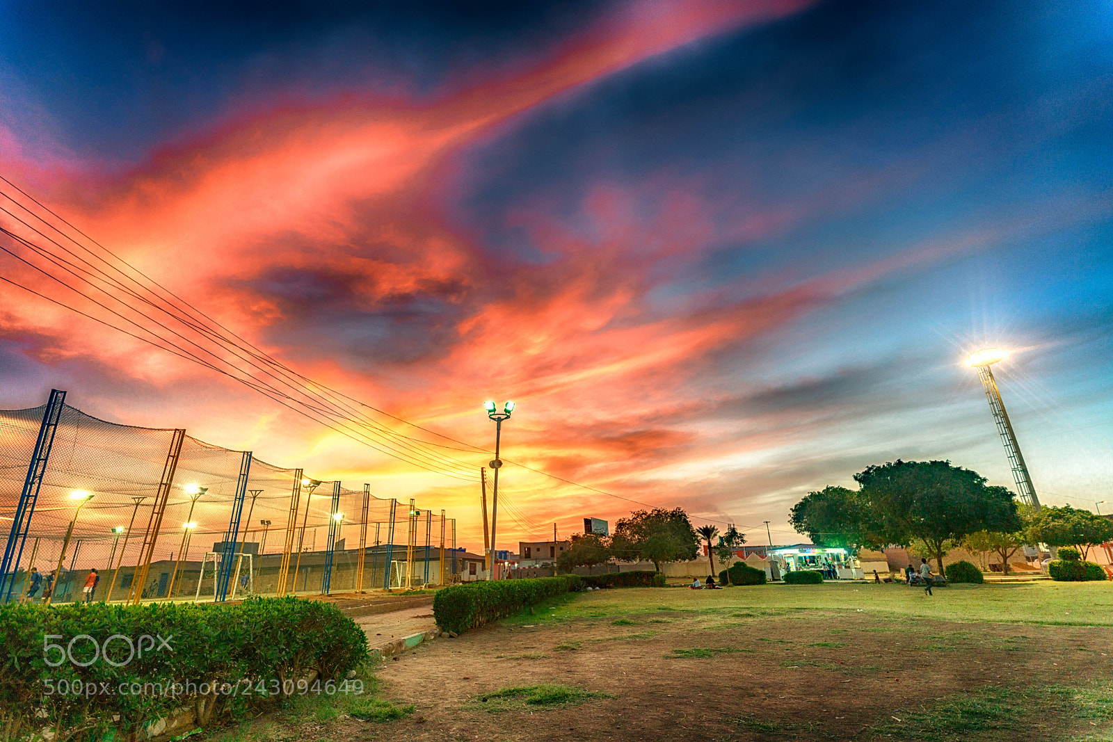 Sony a7R II sample photo. Sunset in the garden photography