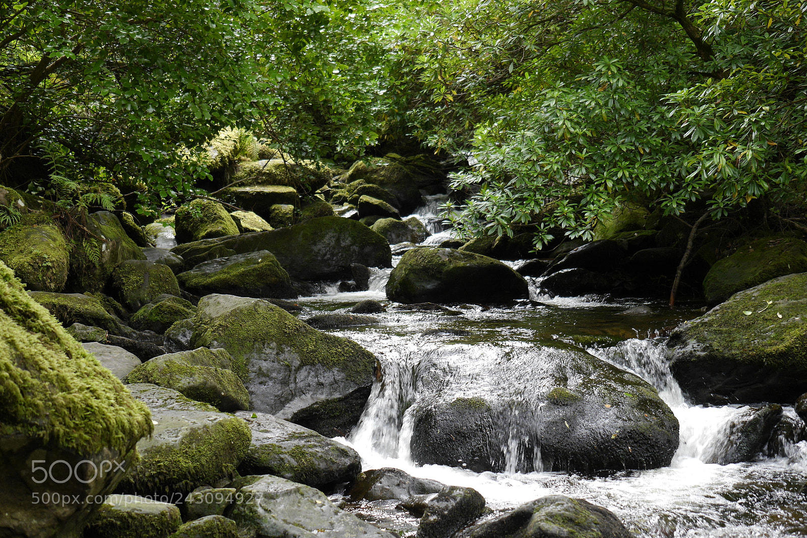 Panasonic Lumix DMC-G6 sample photo. River photography