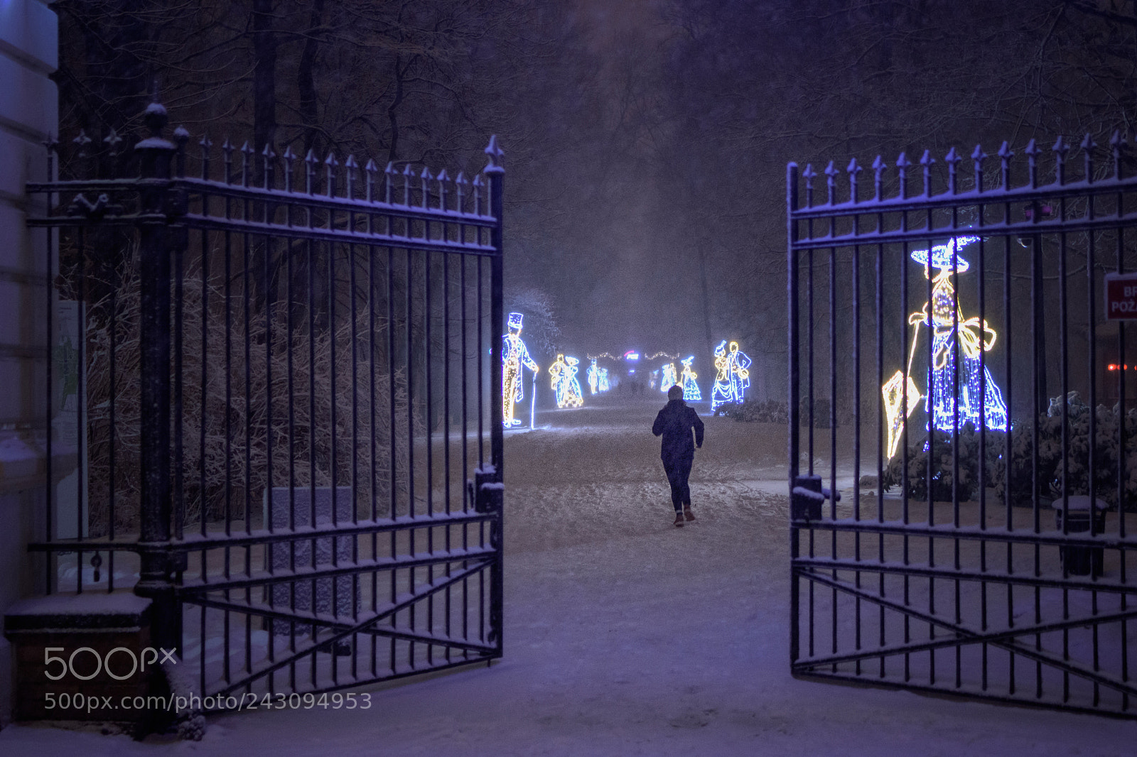 Nikon D7200 sample photo. Run! photography