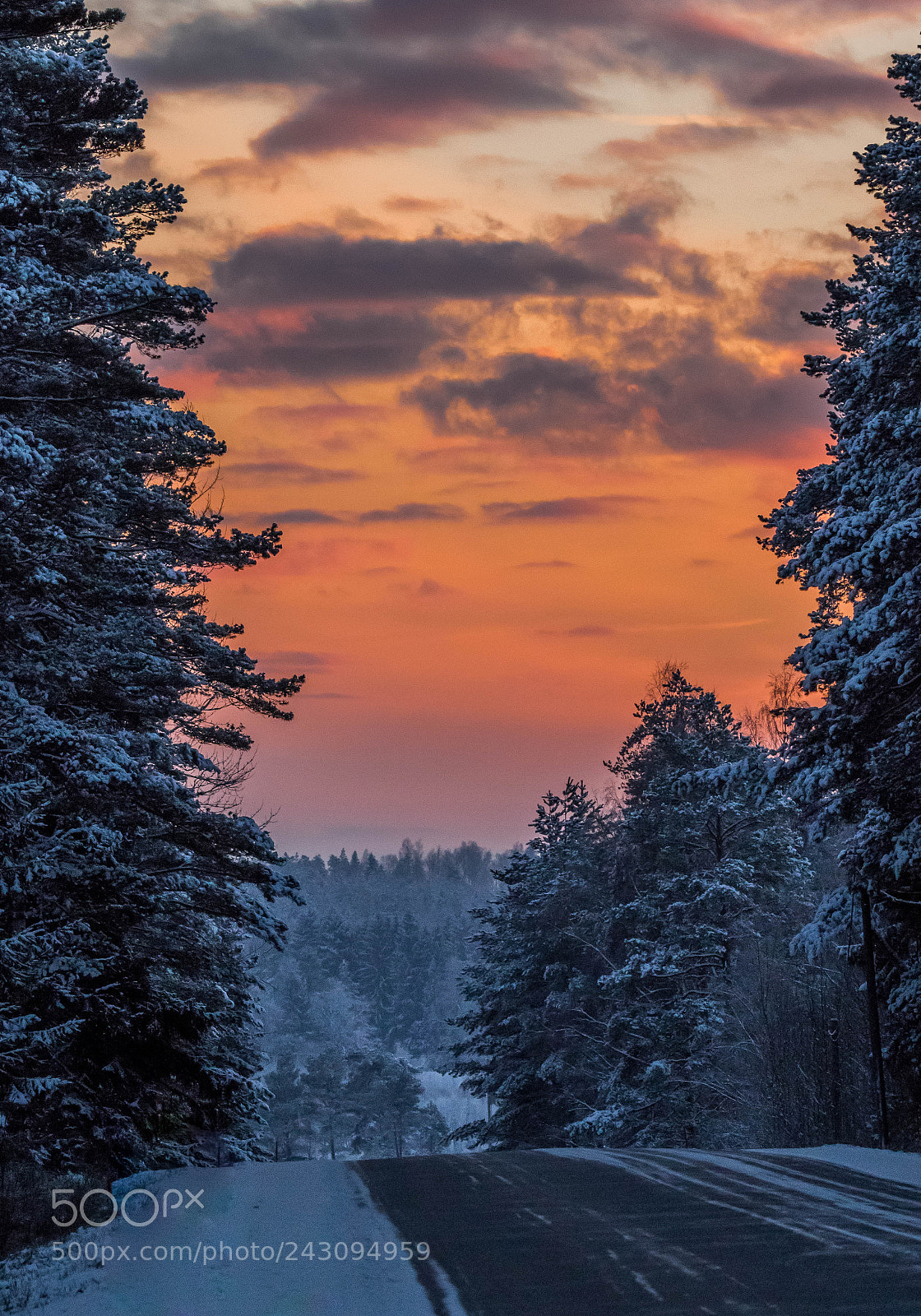Canon EOS 7D Mark II sample photo. Evening photography