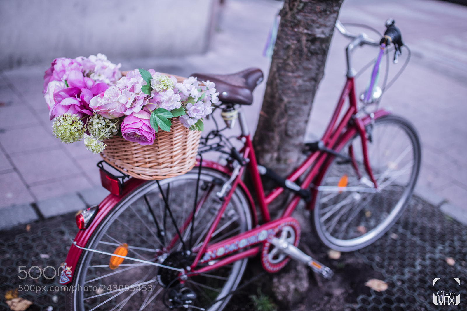 Canon EOS 5DS R sample photo. Projet 22 - cycle photography
