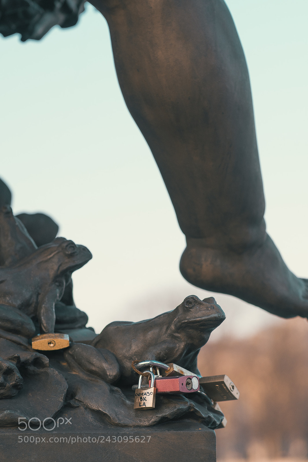 Nikon D500 sample photo. Tortured frog's last moment photography