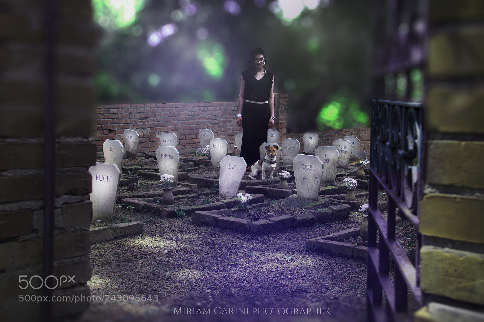 Canon EOS 60D sample photo. Cimitero dei cani photography