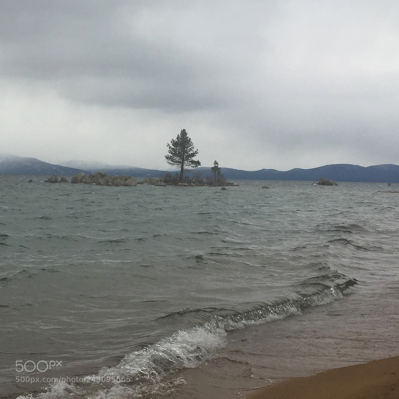 Apple iPhone 6 sample photo. Lake tahoe tree photography