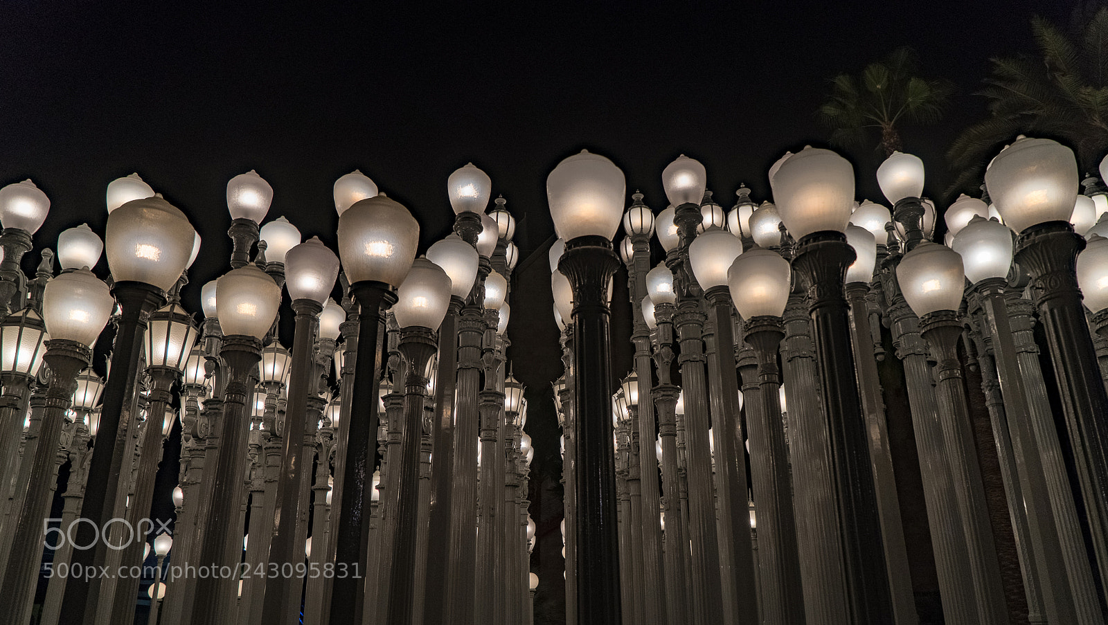 Sony a9 sample photo. Urban lights photography