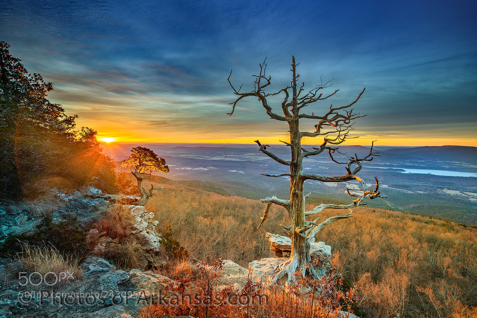 Nikon D850 sample photo. December sunrise on mt photography