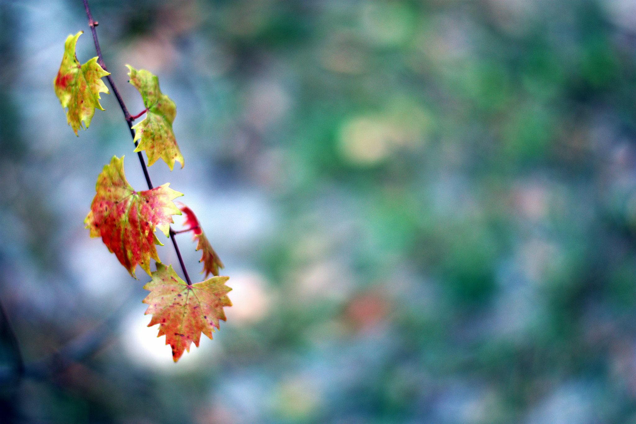 Nikon D3400 + Nikon AF-S Nikkor 50mm F1.8G sample photo. Dsc photography