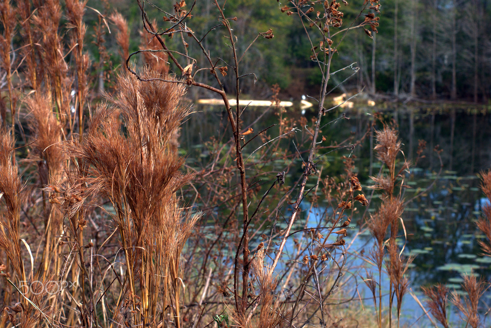 Nikon D3400 sample photo. Dsc photography