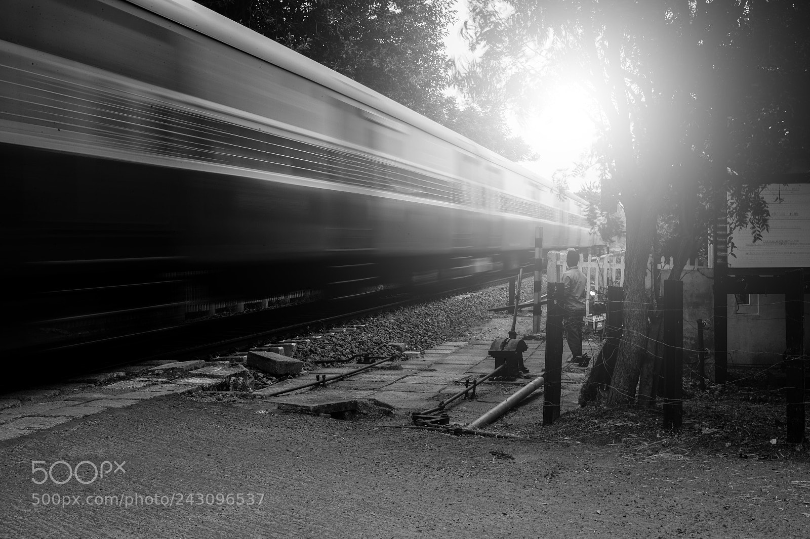 Canon EOS-1D X Mark II sample photo. Untitled photography