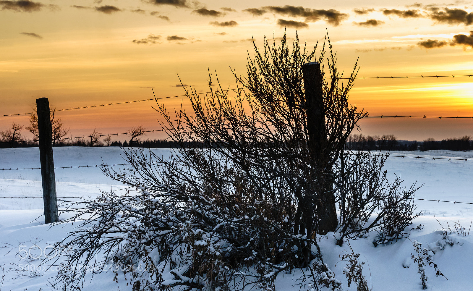 Sony a7 II sample photo. Winter sunset photography
