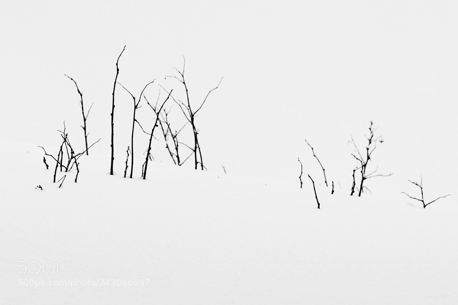 Nikon D850 sample photo. Snow photography