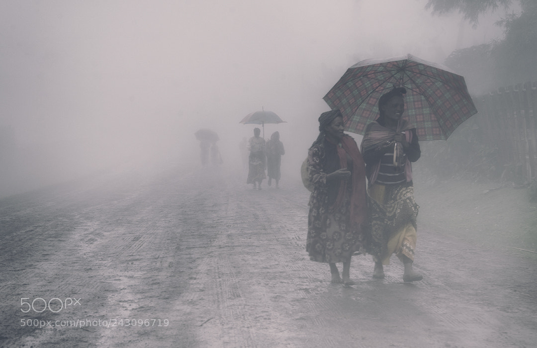 Nikon D3 sample photo. With fog photography