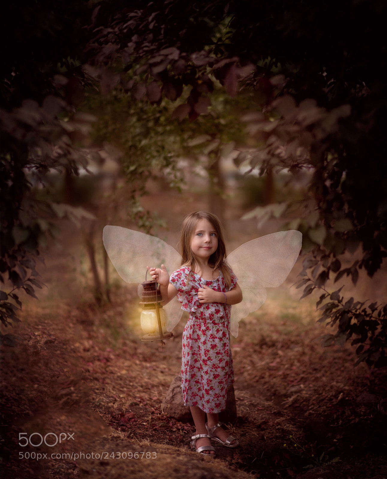 Nikon D610 sample photo. Untitled photography