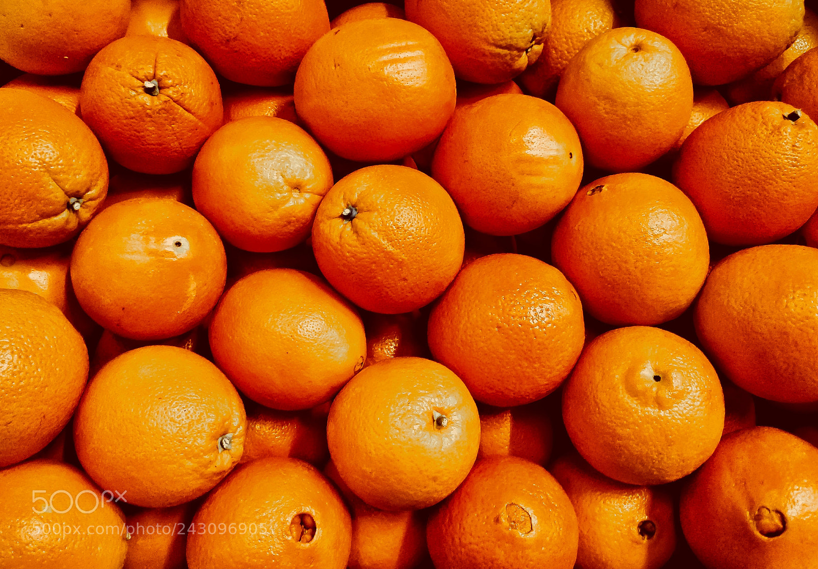 LG K10 (2017) sample photo. Orange photography