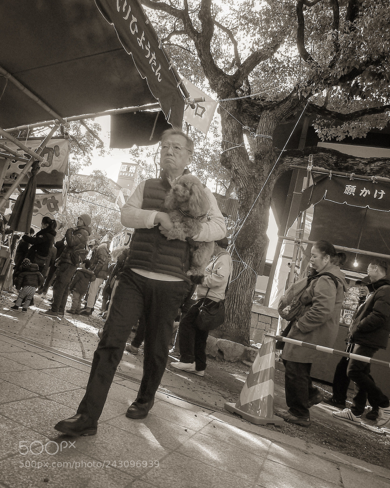 Panasonic Lumix DMC-ZS7 (Lumix DMC-TZ10) sample photo. Untitled photography