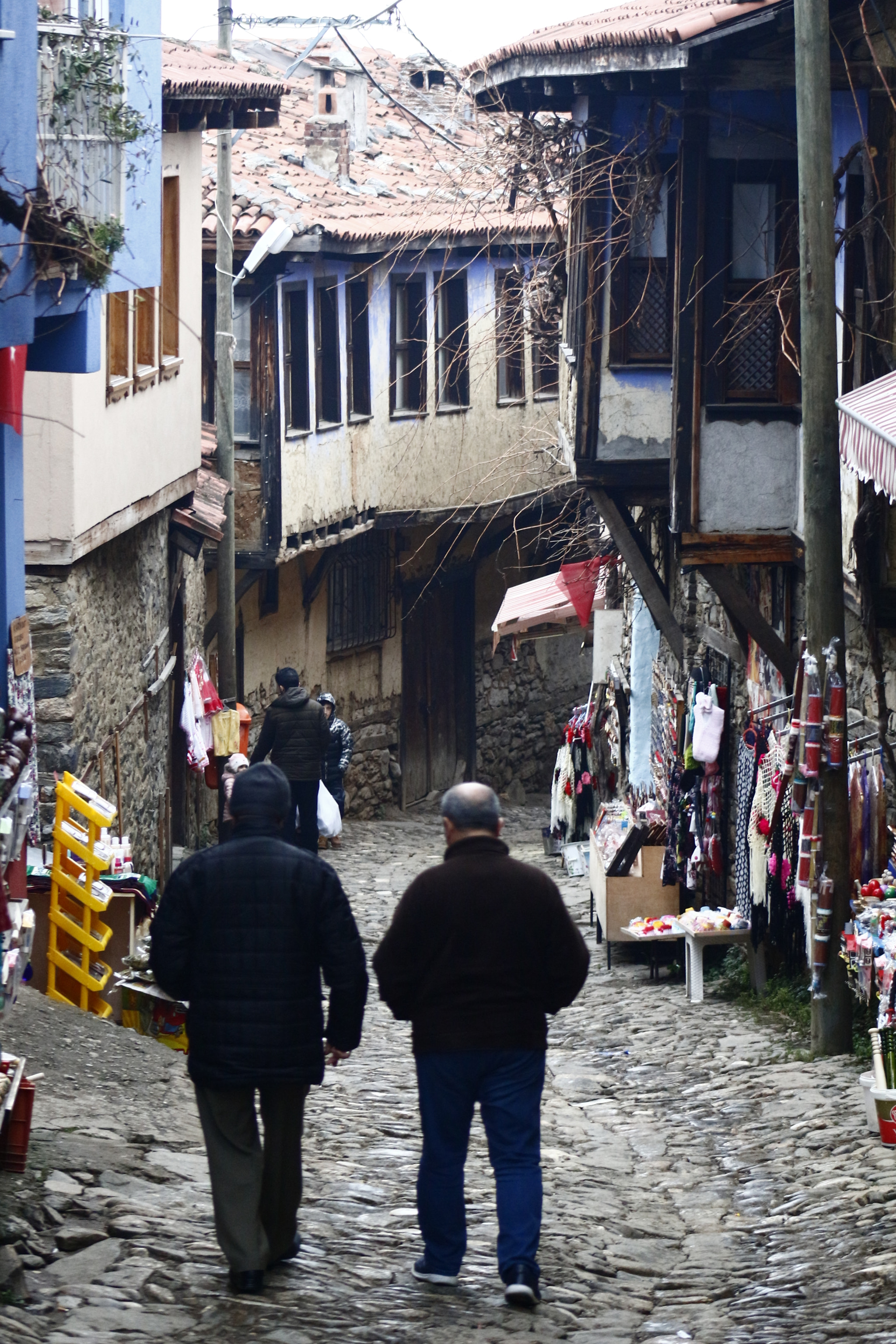 Canon EOS 100D (EOS Rebel SL1 / EOS Kiss X7) + EF75-300mm f/4-5.6 sample photo. Cumalicious village-bursa/turkey photography