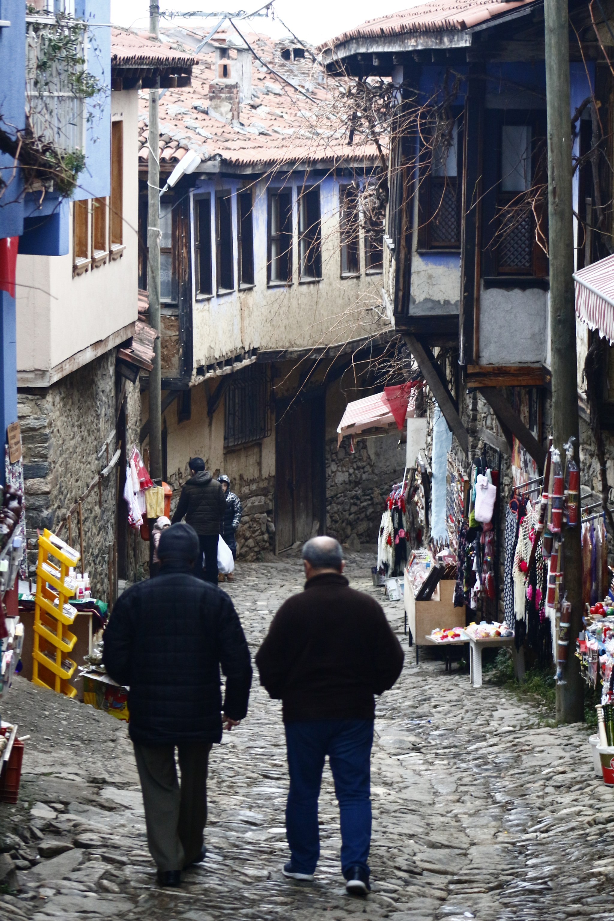 Canon EOS 100D (EOS Rebel SL1 / EOS Kiss X7) + EF75-300mm f/4-5.6 sample photo. Cumalicious village-bursa/turkey photography