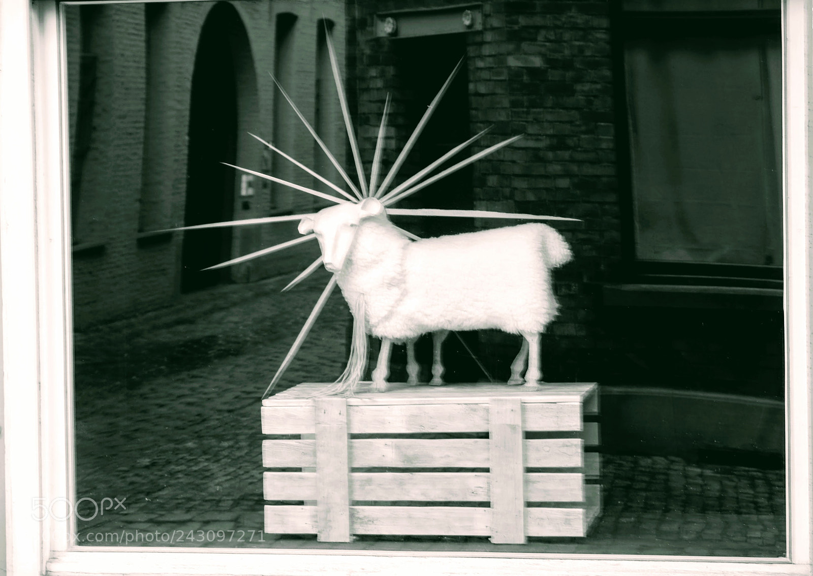 Fujifilm X-T10 sample photo. Sheep in the street photography