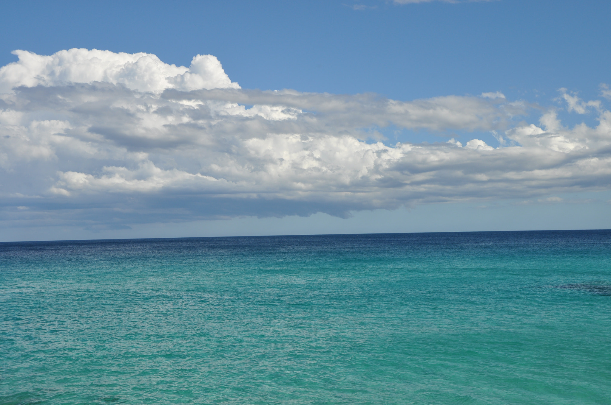 Nikon D5000 sample photo. 153.jpg photography