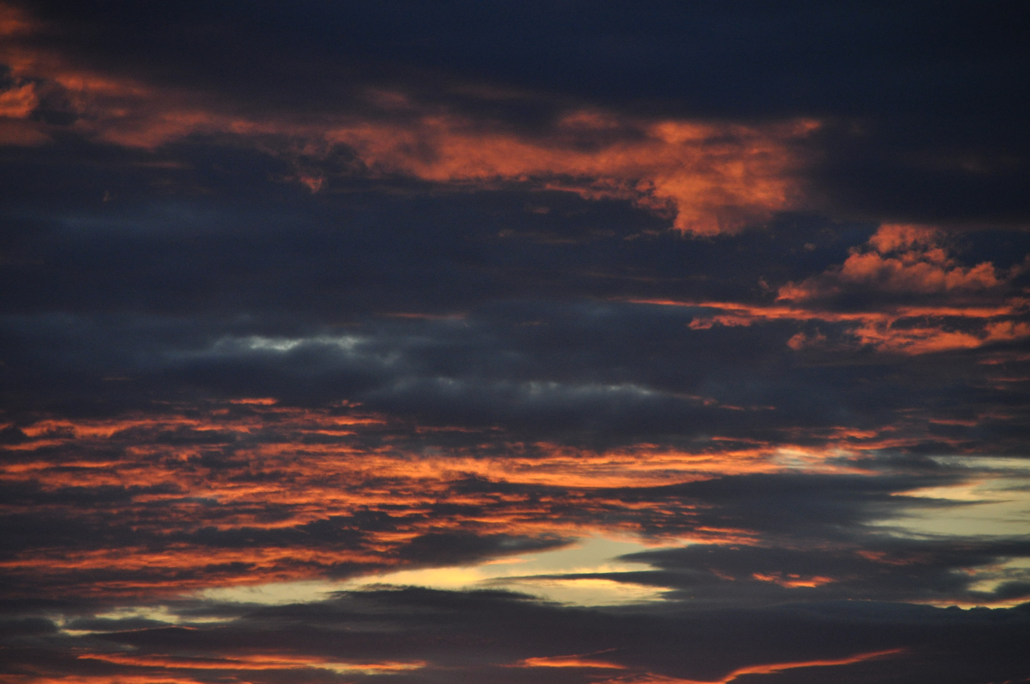 Nikon D5000 sample photo. 192.jpg photography