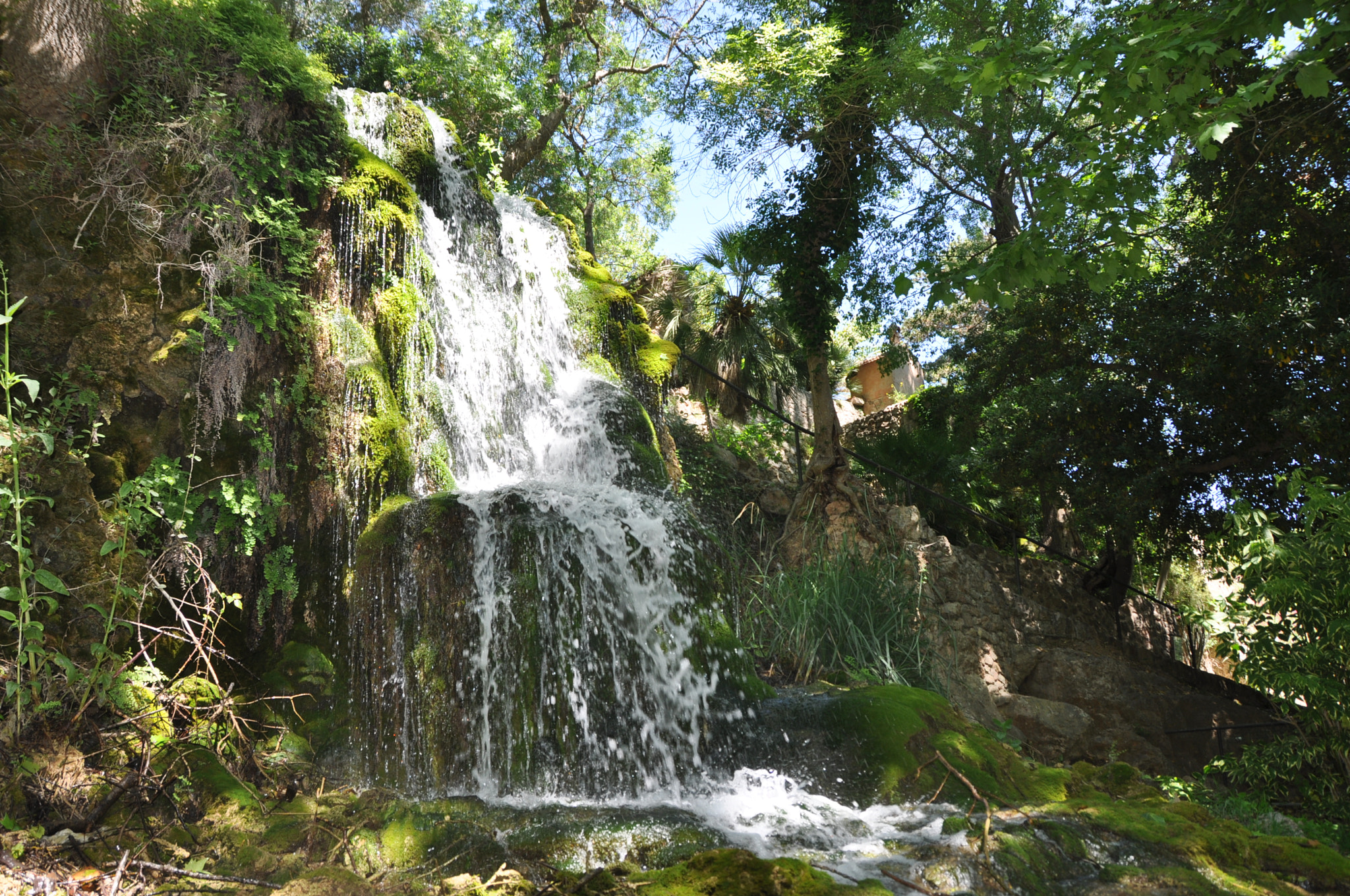 Nikon D5000 sample photo. 194.jpg photography