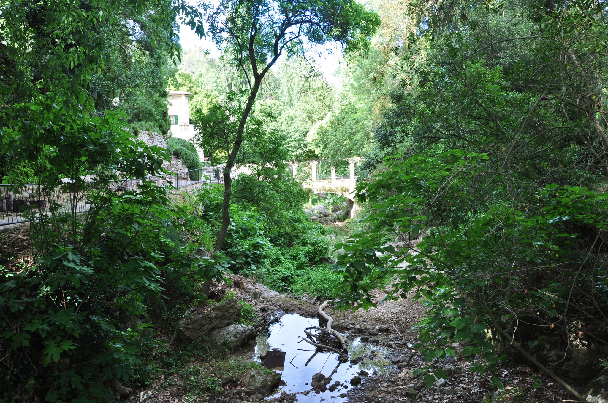 Nikon D5000 sample photo. 198.jpg photography
