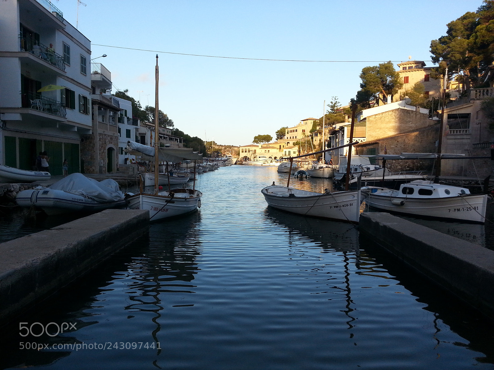 Samsung Galaxy S3 sample photo. 211.jpg photography