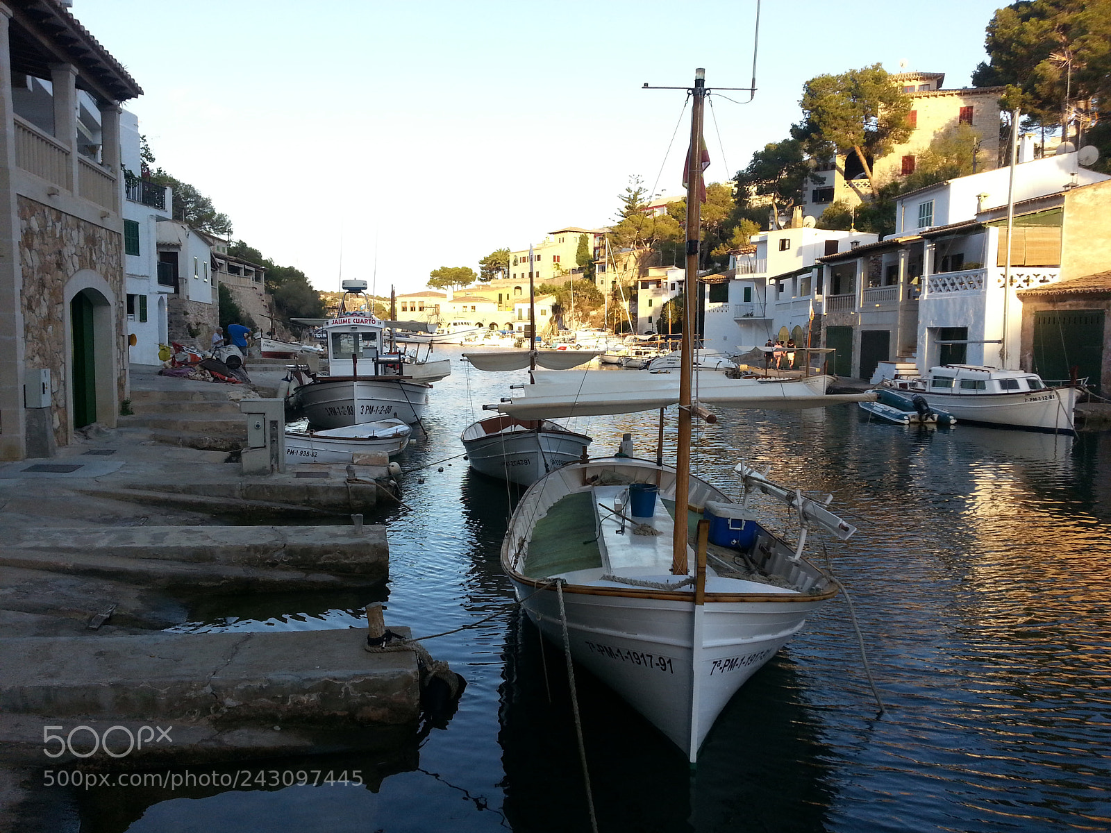 Samsung Galaxy S3 sample photo. 213.jpg photography