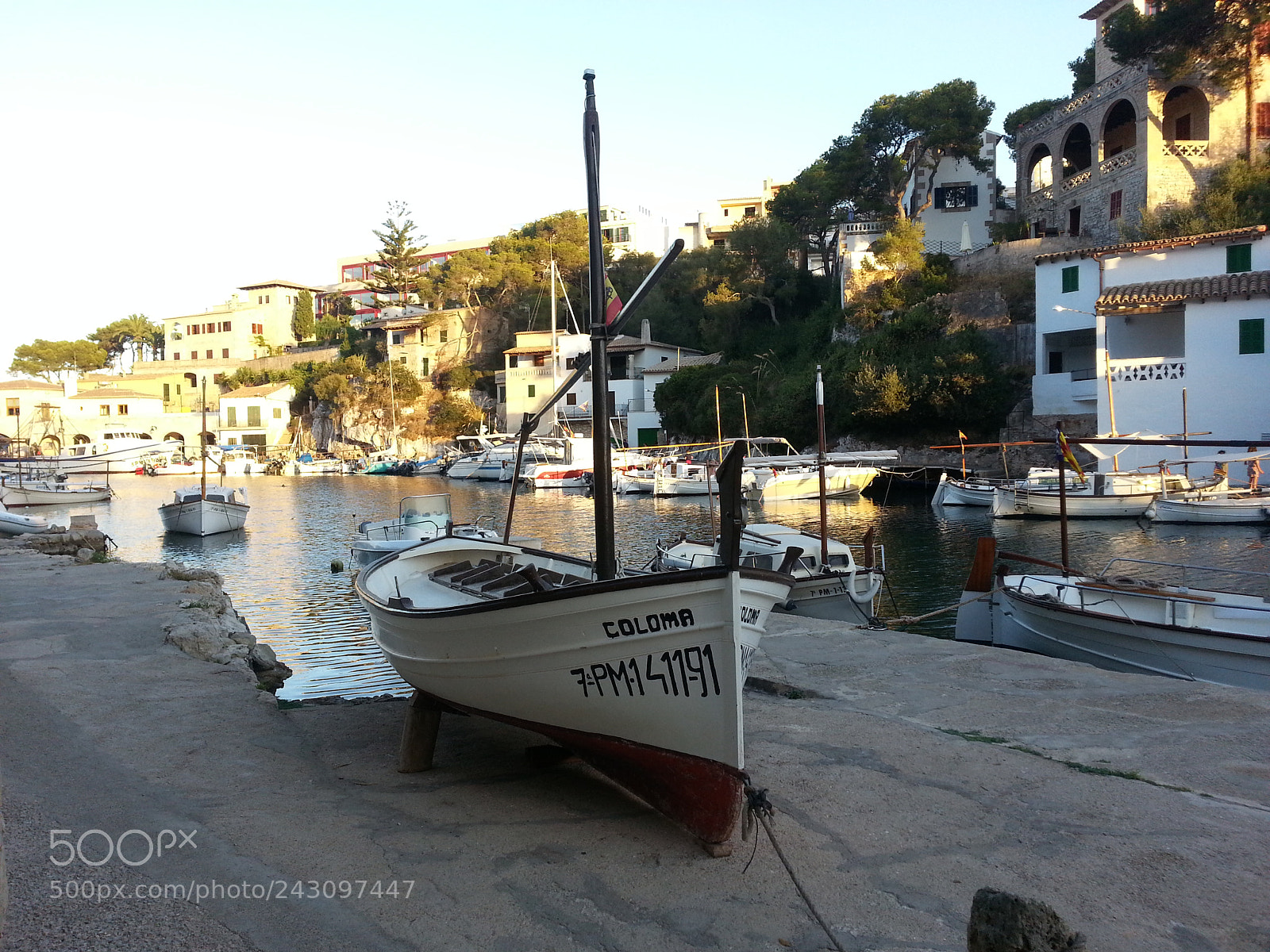 Samsung Galaxy S3 sample photo. 214.jpg photography