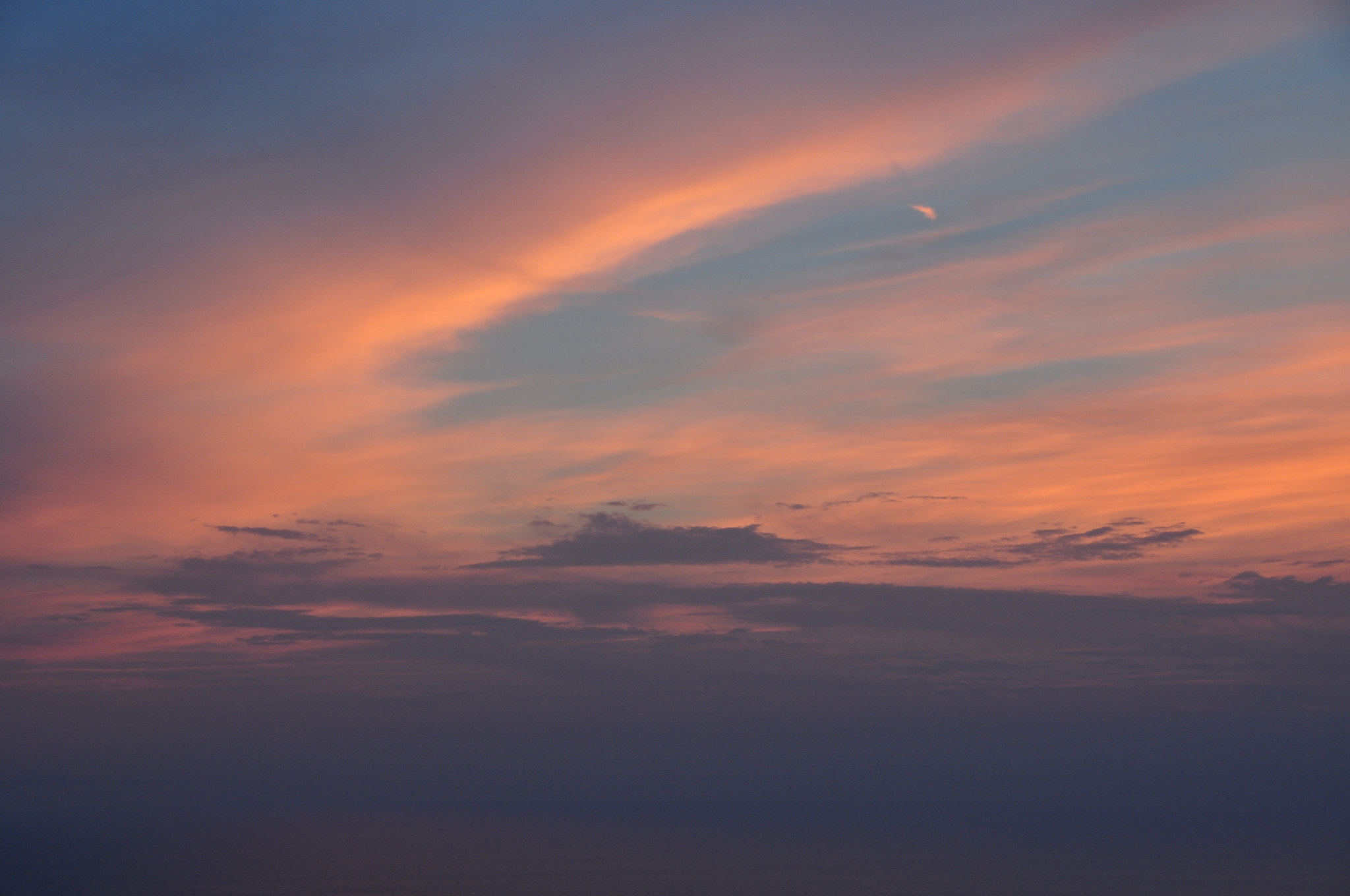 Nikon D5000 sample photo. 216.jpg photography