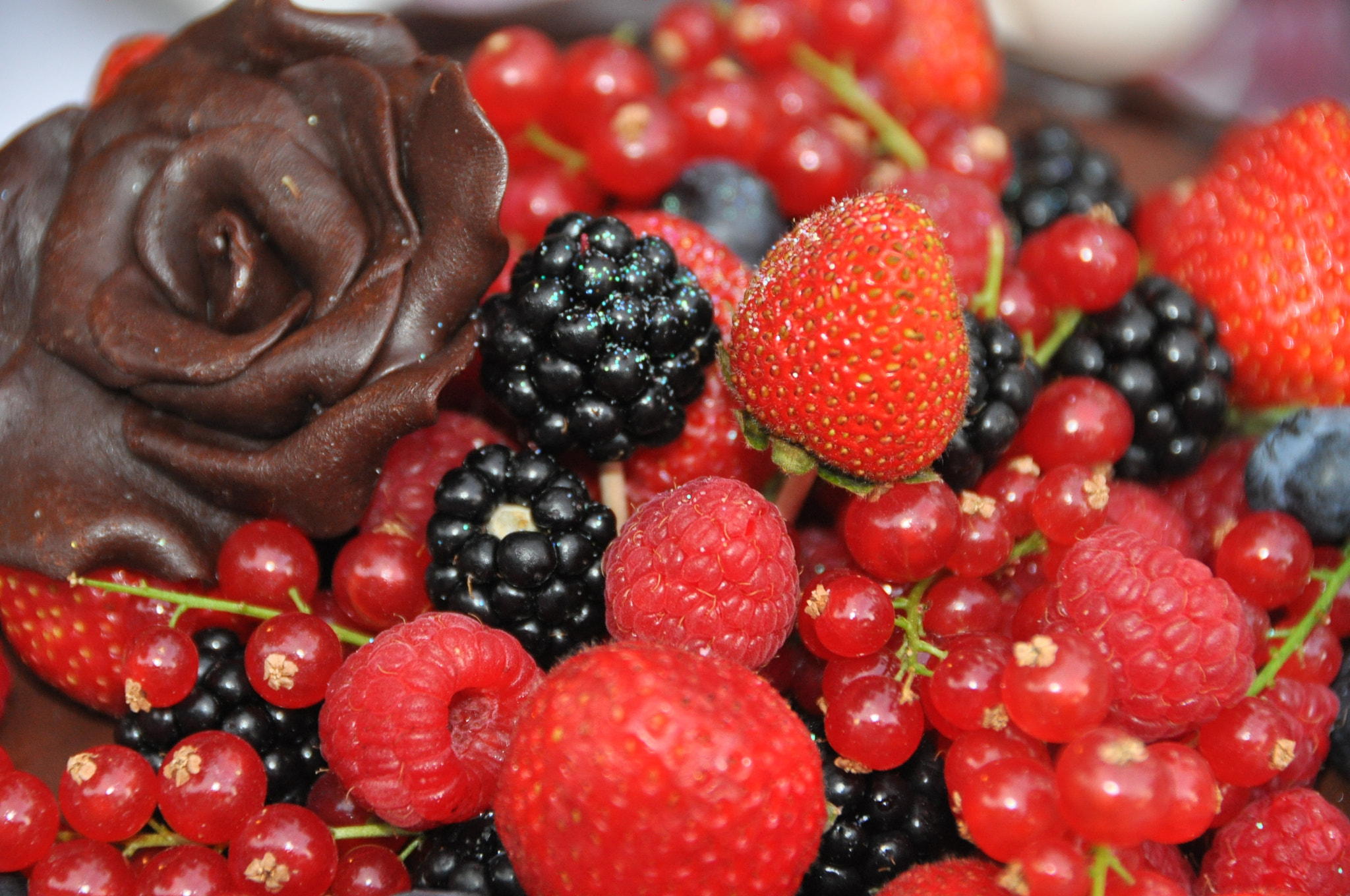 Nikon D5000 sample photo. 217.jpg photography