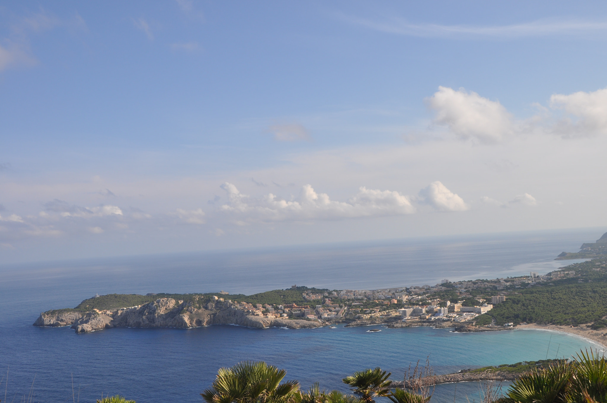 Nikon D5000 sample photo. 233.jpg photography