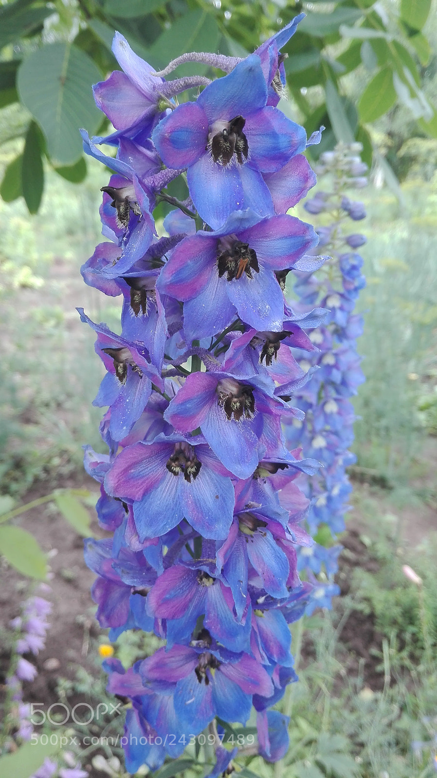 HUAWEI P8 Lite sample photo. Untitled photography
