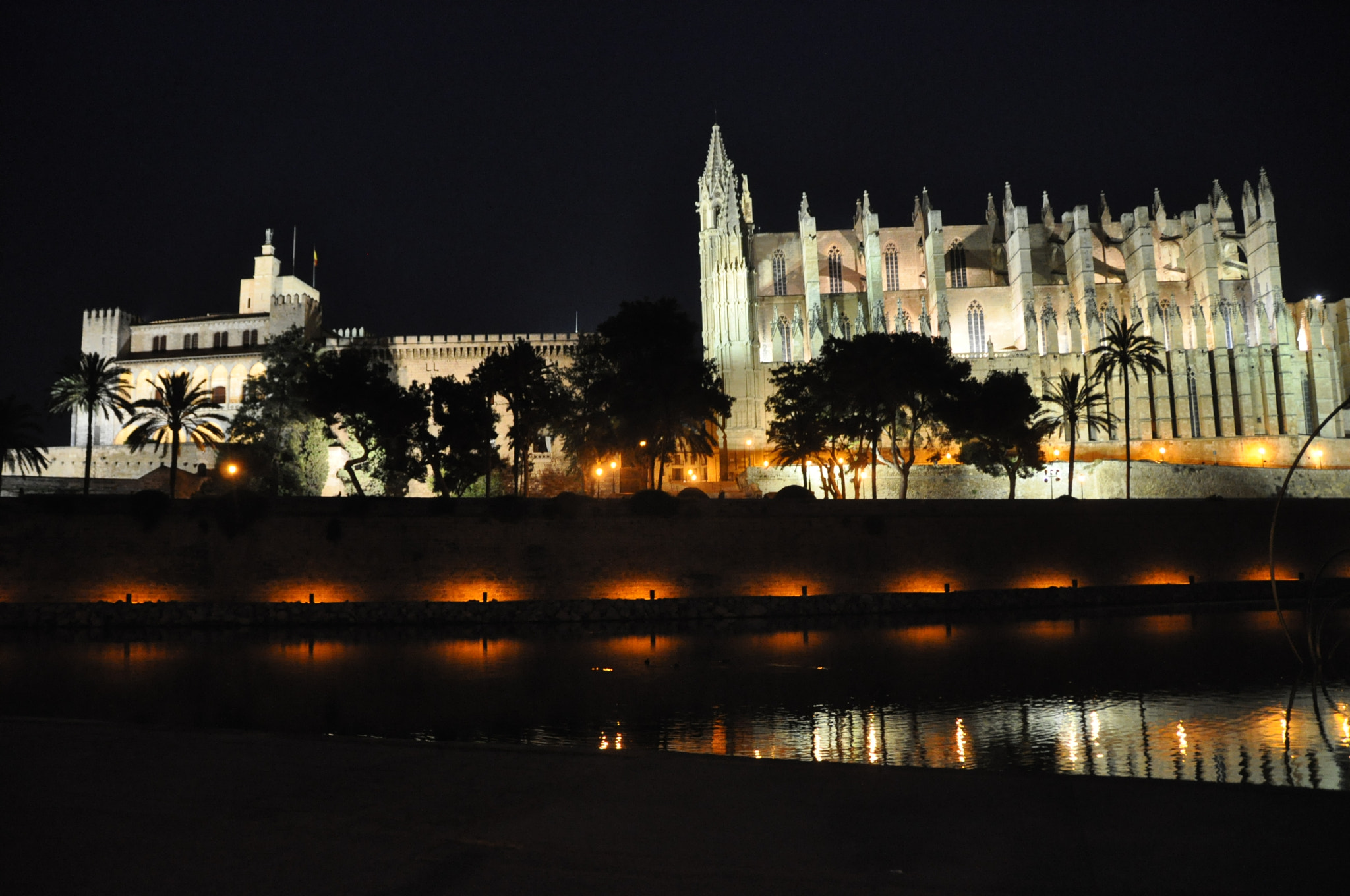 Nikon D5000 sample photo. Bus palma photography