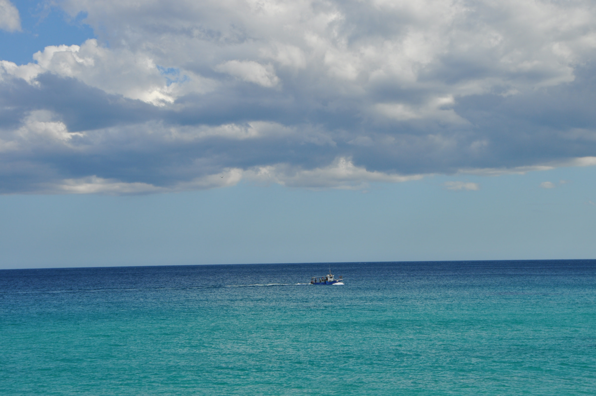 Nikon D5000 sample photo. 95.jpg photography