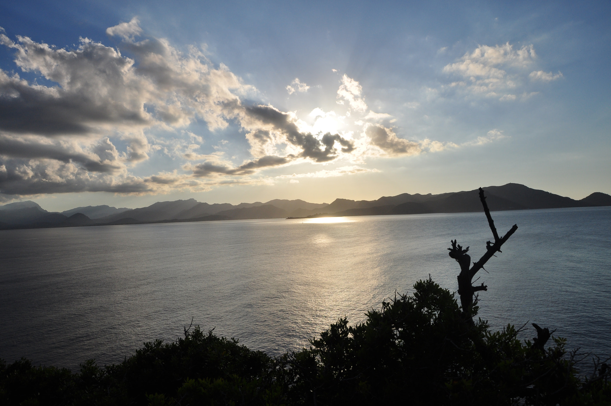 Nikon D5000 sample photo. 108.jpg photography