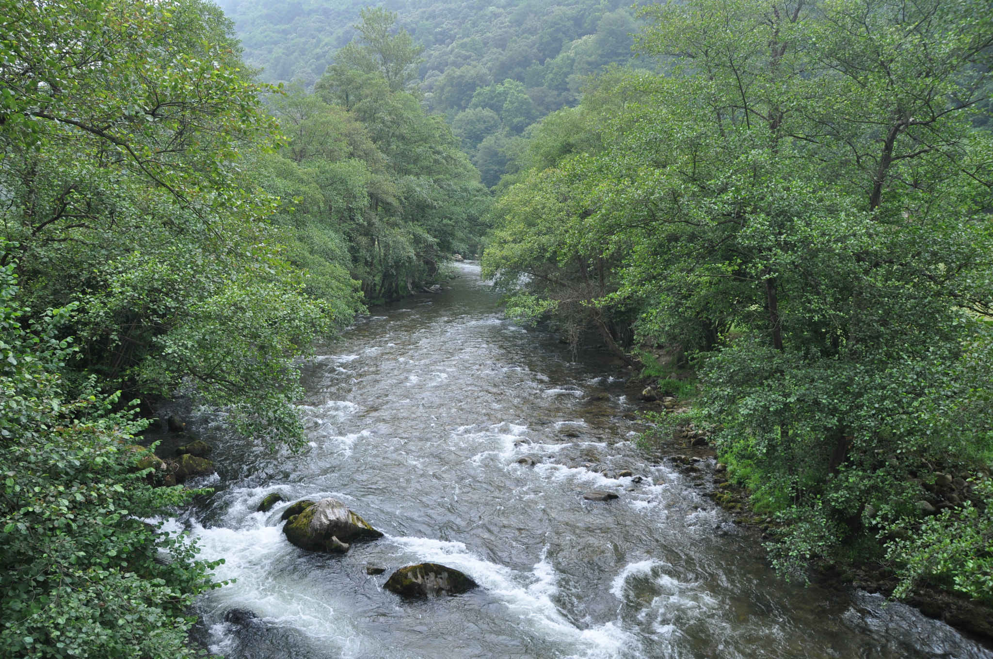 Nikon D5000 sample photo. 122.jpg photography